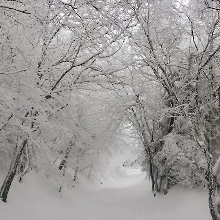 L'amphithéâtre Des Volcans - Vue Puy De Dôme Appartamento