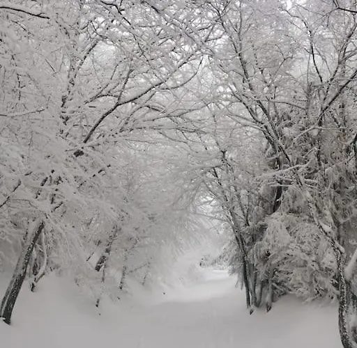 Grand - Balcons Des Volcans - Vue Puy De Dome Apartament