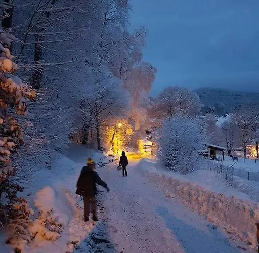 Apartament Grand - Balcons Des Volcans - Vue Puy De Dome